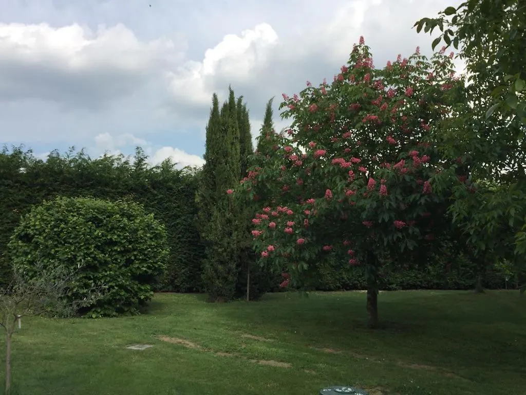 Bed & Breakfast B&B Villa Cardinala - Ravenna - Gambellara  Italy